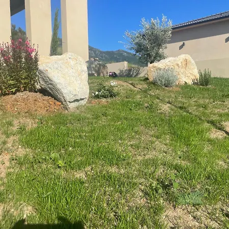 Jean Baptiste Patrimonio